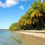 Le Kawan Nid, Marie-Galante Appartement Avec Climatisation, Wifi , A Proximite D\'Une Plage Et D\'Une Piscine Privee